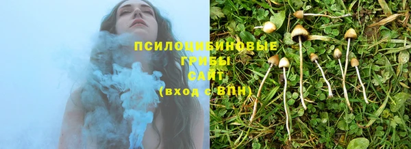 тгк Балабаново